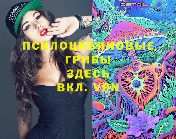 ГАЛЛЮЦИНОГЕННЫЕ ГРИБЫ Богородицк