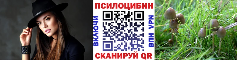 Псилоцибиновые грибы Psilocybine cubensis  цена наркотик  Вуктыл 